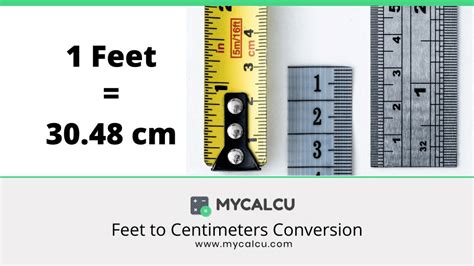 8尺 to cm|Feet to Centimeters (ft to cm)